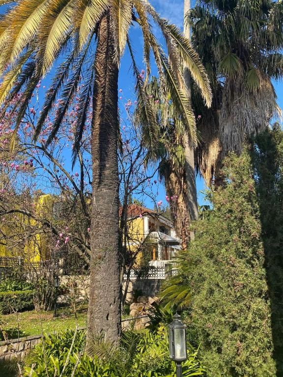 Виллы Villa Nautica Херцег-Нови-105